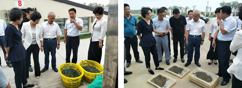 新聞=省委胥秘書長與省農(nóng)業(yè)農(nóng)村廳楊廳長一行及市、縣等領導，來我司視察05.jpg